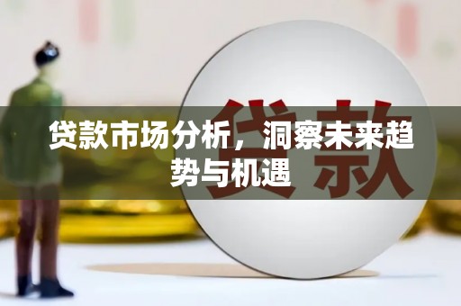 西平贷款市场分析，洞察未来趋势与机遇