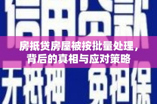 理塘房抵贷房屋被按批量处理，背后的真相与应对策略