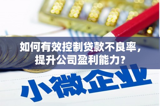 东石如何有效控制贷款不良率，提升公司盈利能力？