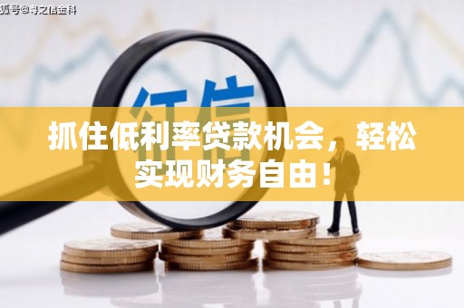 乌苏抓住低利率贷款机会，轻松实现财务自由！