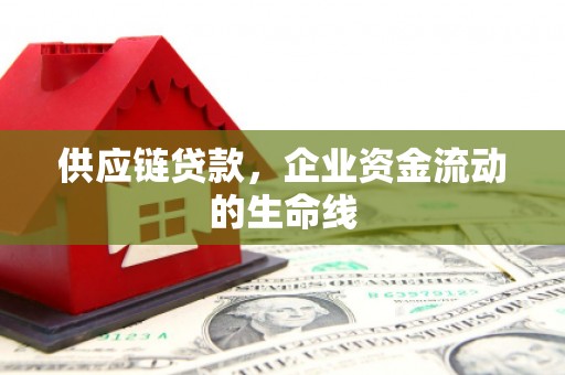 尼勒克供应链贷款，企业资金流动的生命线