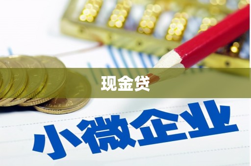 尼勒克现金贷