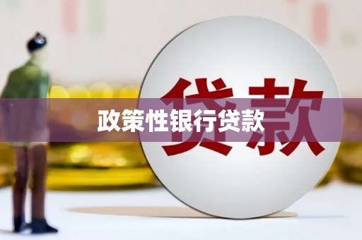 海勃湾政策性银行贷款