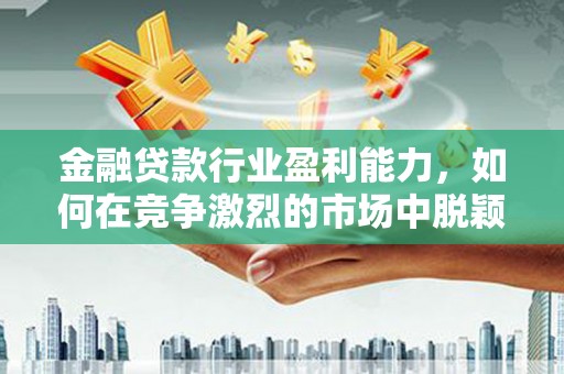 平潭金融贷款行业盈利能力，如何在竞争激烈的市场中脱颖而出？