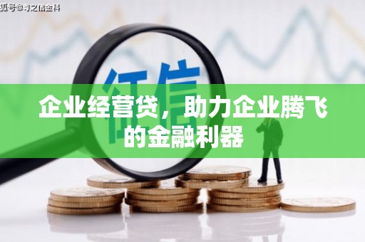青阳企业经营贷，助力企业腾飞的金融利器