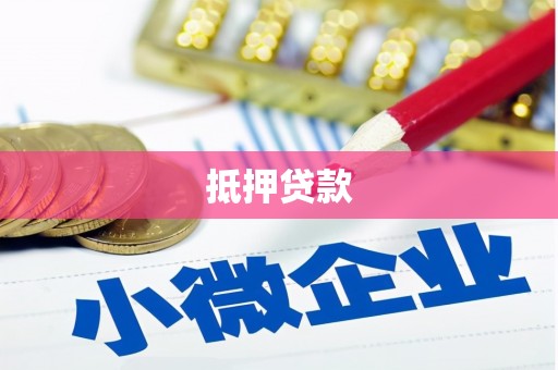新田抵押贷款