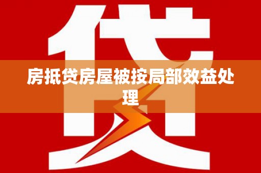 铁门关房抵贷房屋被按局部效益处理