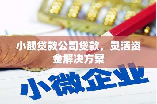 鄄城小额贷款公司贷款，灵活资金解决方案