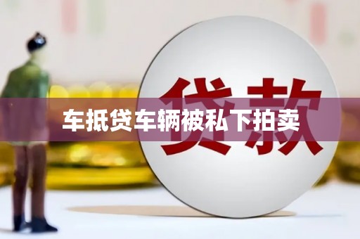 广南车抵贷车辆被私下拍卖