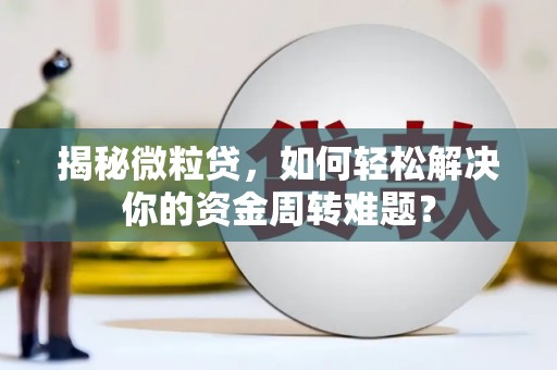 海棠揭秘微粒贷，如何轻松解决你的资金周转难题？