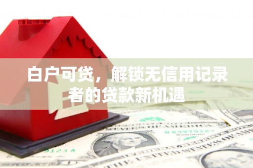 海棠白户可贷，解锁无信用记录者的贷款新机遇