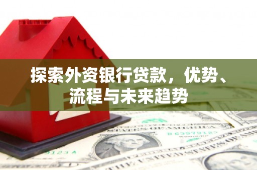 凤山探索外资银行贷款，优势、流程与未来趋势