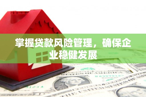 满城掌握贷款风险管理，确保企业稳健发展