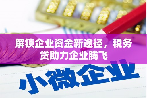 文安解锁企业资金新途径，税务贷助力企业腾飞