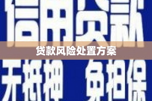 西咸贷款风险处置方案