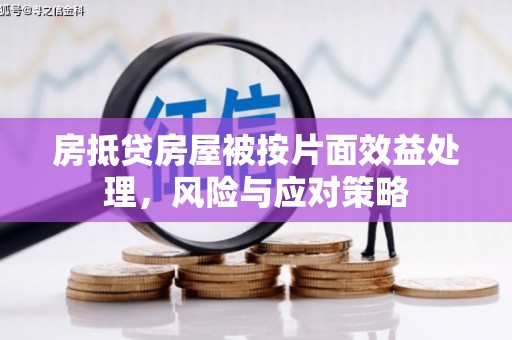 尖扎房抵贷房屋被按片面效益处理，风险与应对策略