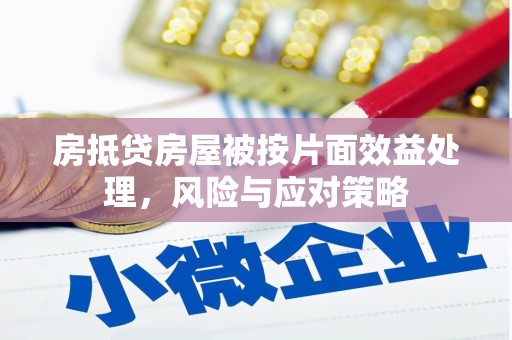 炉霍房抵贷房屋被按片面效益处理，风险与应对策略