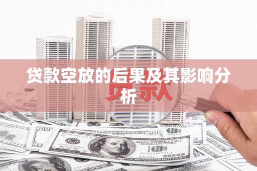嘉荫贷款空放的后果及其影响分析