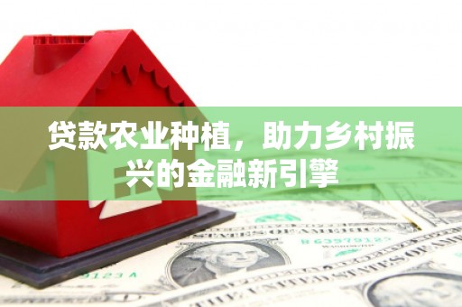 永定贷款农业种植，助力乡村振兴的金融新引擎