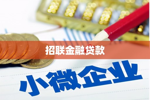 茄子河招联金融贷款