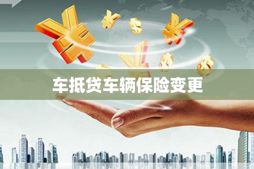 潮南车抵贷车辆保险变更