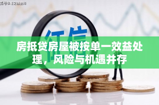 蠡县房抵贷房屋被按单一效益处理，风险与机遇并存