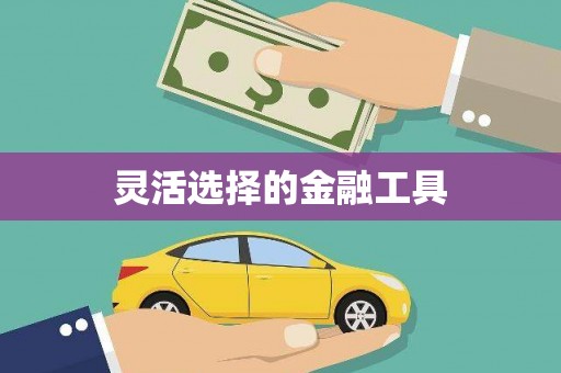 北仑灵活选择的金融工具