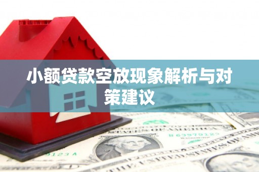 澎湖小额贷款空放现象解析与对策建议