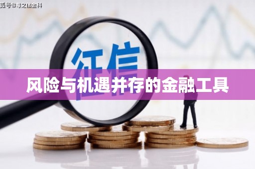 新华风险与机遇并存的金融工具