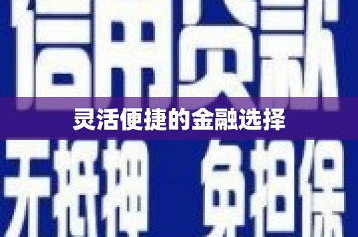 九如灵活便捷的金融选择