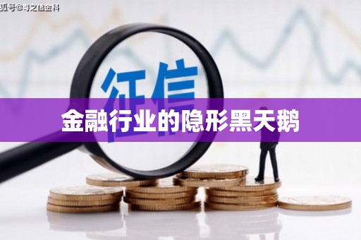 双溪金融行业的隐形黑天鹅