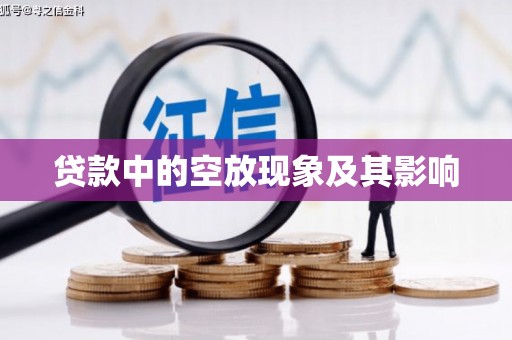 康保贷款中的空放现象及其影响