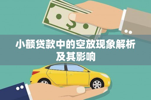 茂县小额贷款中的空放现象解析及其影响