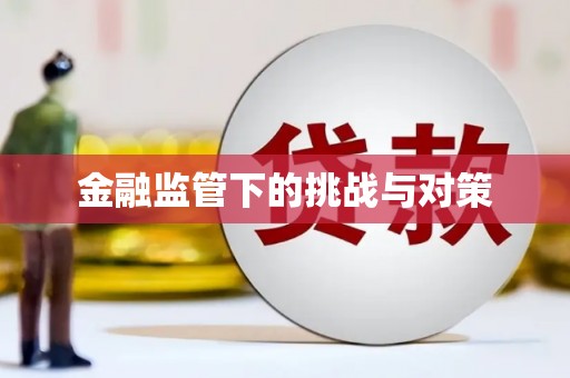 岳西金融监管下的挑战与对策