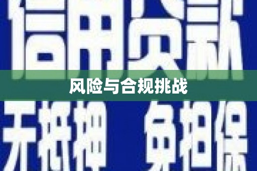 文水风险与合规挑战