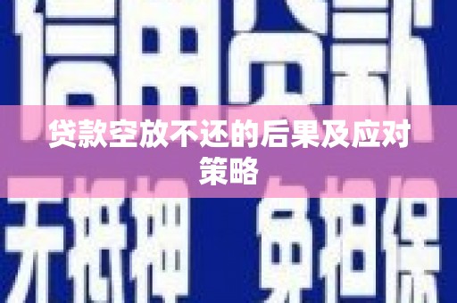 西双版纳贷款空放不还的后果及应对策略