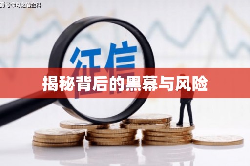岳西揭秘背后的黑幕与风险