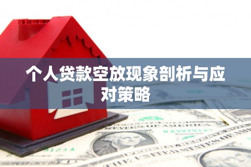 祥云个人贷款空放现象剖析与应对策略