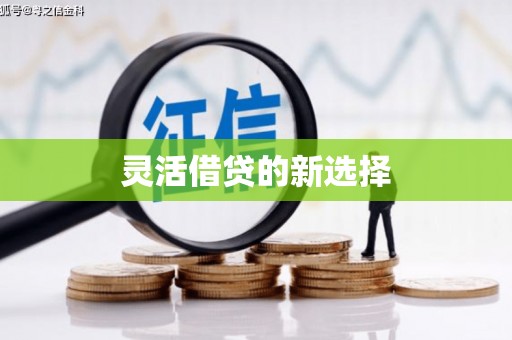 剑阁灵活借贷的新选择