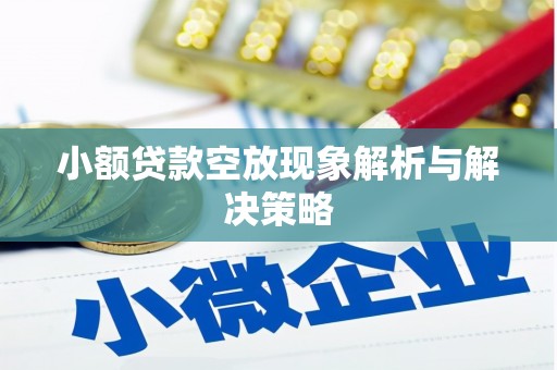 泰顺小额贷款空放现象解析与解决策略