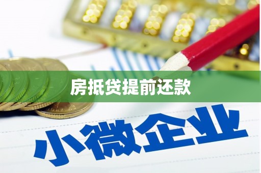 西双版纳房抵贷提前还款
