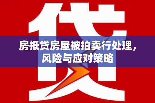 塔什库尔干塔吉克房抵贷房屋被拍卖行处理，风险与应对策略