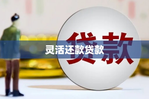 龙江灵活还款贷款