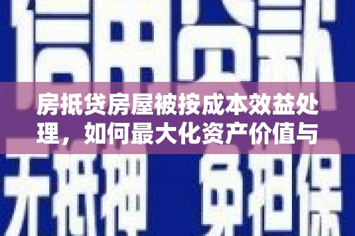 嘉禾房抵贷房屋被按成本效益处理，如何最大化资产价值与风险控制