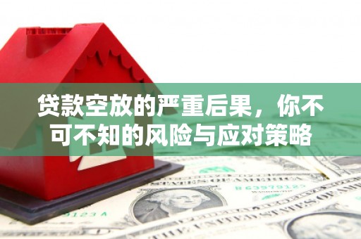 嘉禾贷款空放的严重后果，你不可不知的风险与应对策略