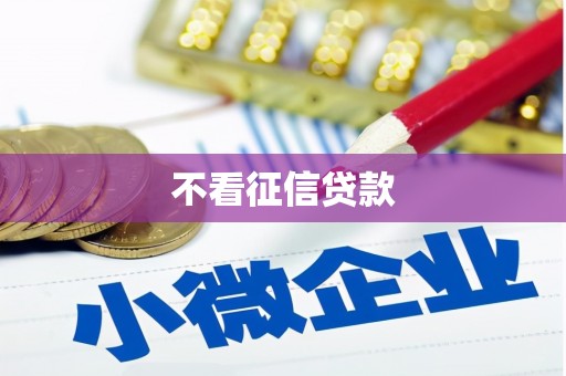 卫滨不看征信贷款